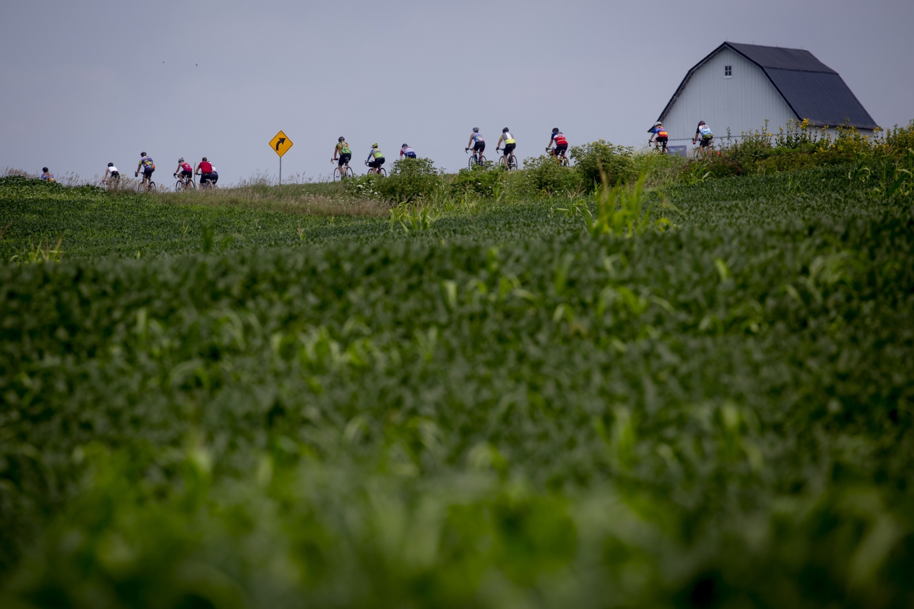 RAGBRAI riders make their way out of Central City and onto the eventual end town of Anamosa on Thursday, July 29, 2021.