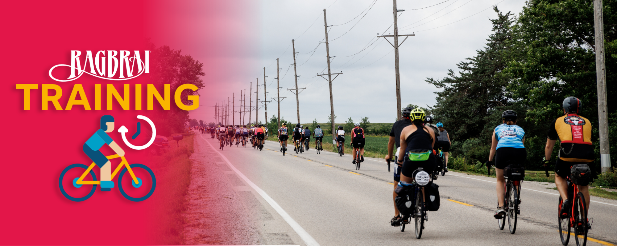 training blog header