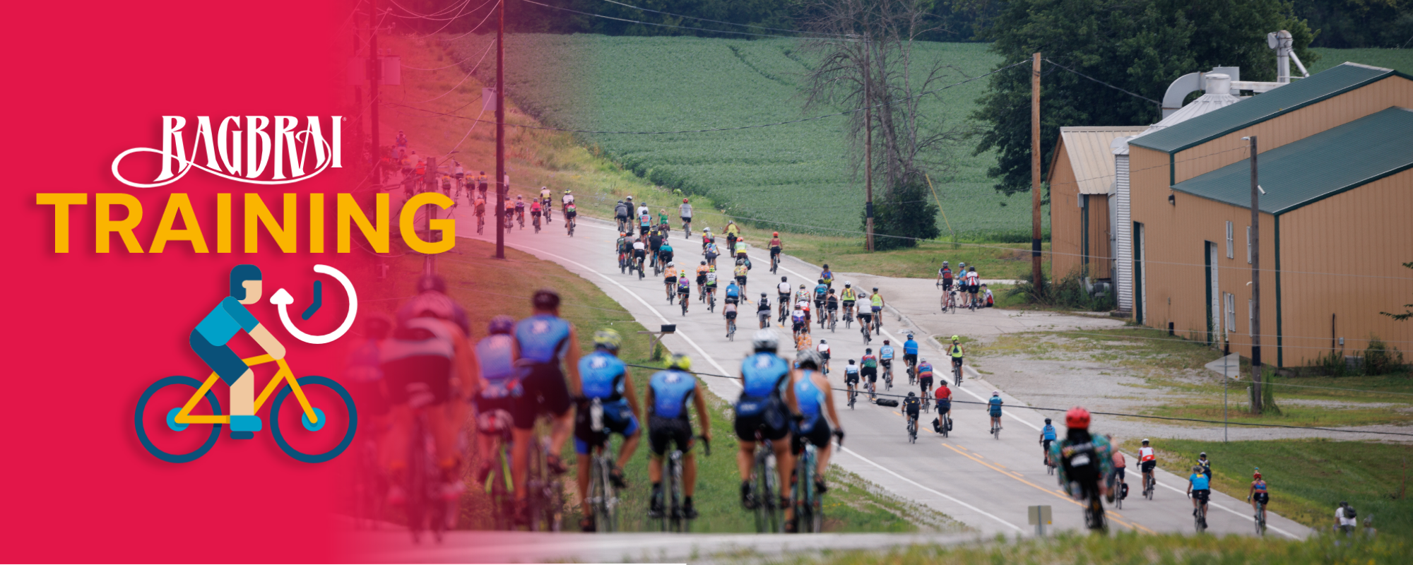 training blog header training blog header