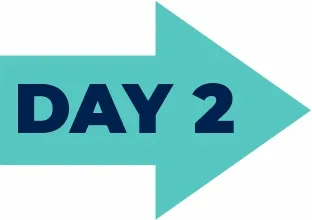 day-arrow-2a Day 2 forward arrow