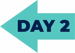Day 0 Arrow