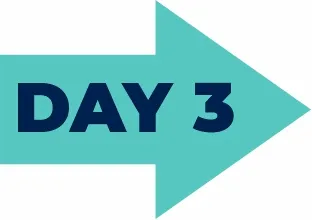 day-arrow-3a Day 2 forward arrow