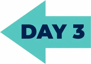 Day 0 Arrow