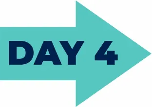 Day 2 forward arrow