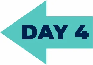 Day 0 Arrow