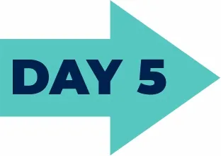 Day 2 forward arrow