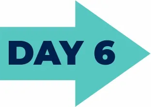 Day 2 forward arrow