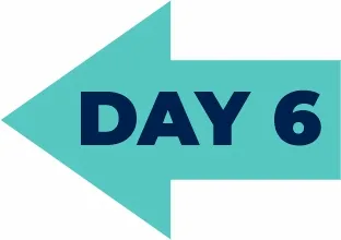 Day 0 Arrow