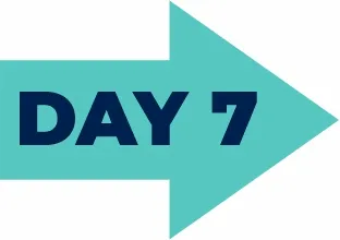 day-arrow-7a Day 2 forward arrow